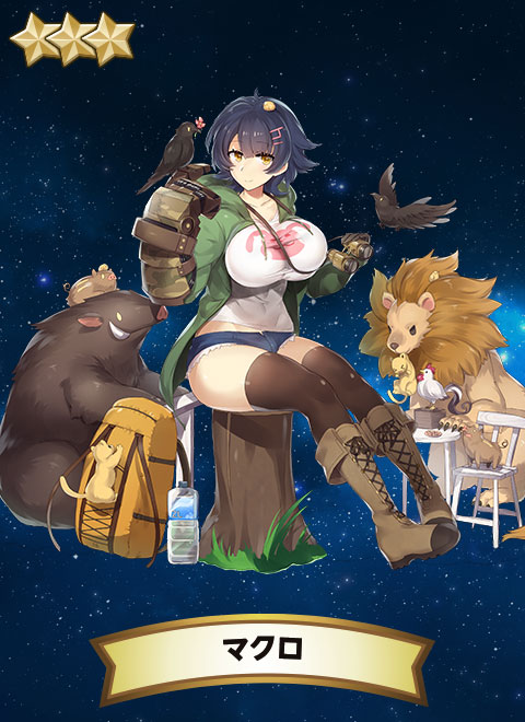 マクロ